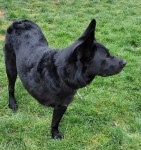 CREATOR: gd-jpeg v1.0 (using IJG JPEG v62), quality = 80