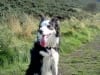 Three Legged Border Collie Millie