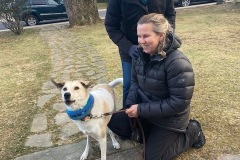 Amy Moses Tripawd Neighbor