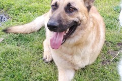 Gunnar