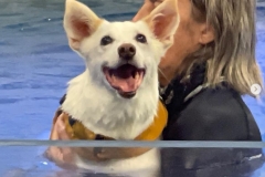 Three legged hydrotherapy swimming