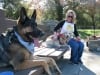 SoCal Tripawds Pawty