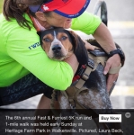 Buddy Three Legs Hound Tripawd