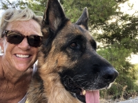 Luca German Shepherd Tripawd