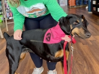 JaneYarnAndBonePetSupply2