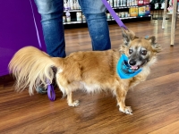 SnuggyYarnAndBonePetSUpply1