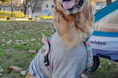 20260615_163758-Pame-De-los-Santos