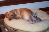 Tripod Drake and best friend