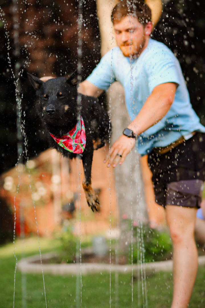 Tripawd Harper runs through water