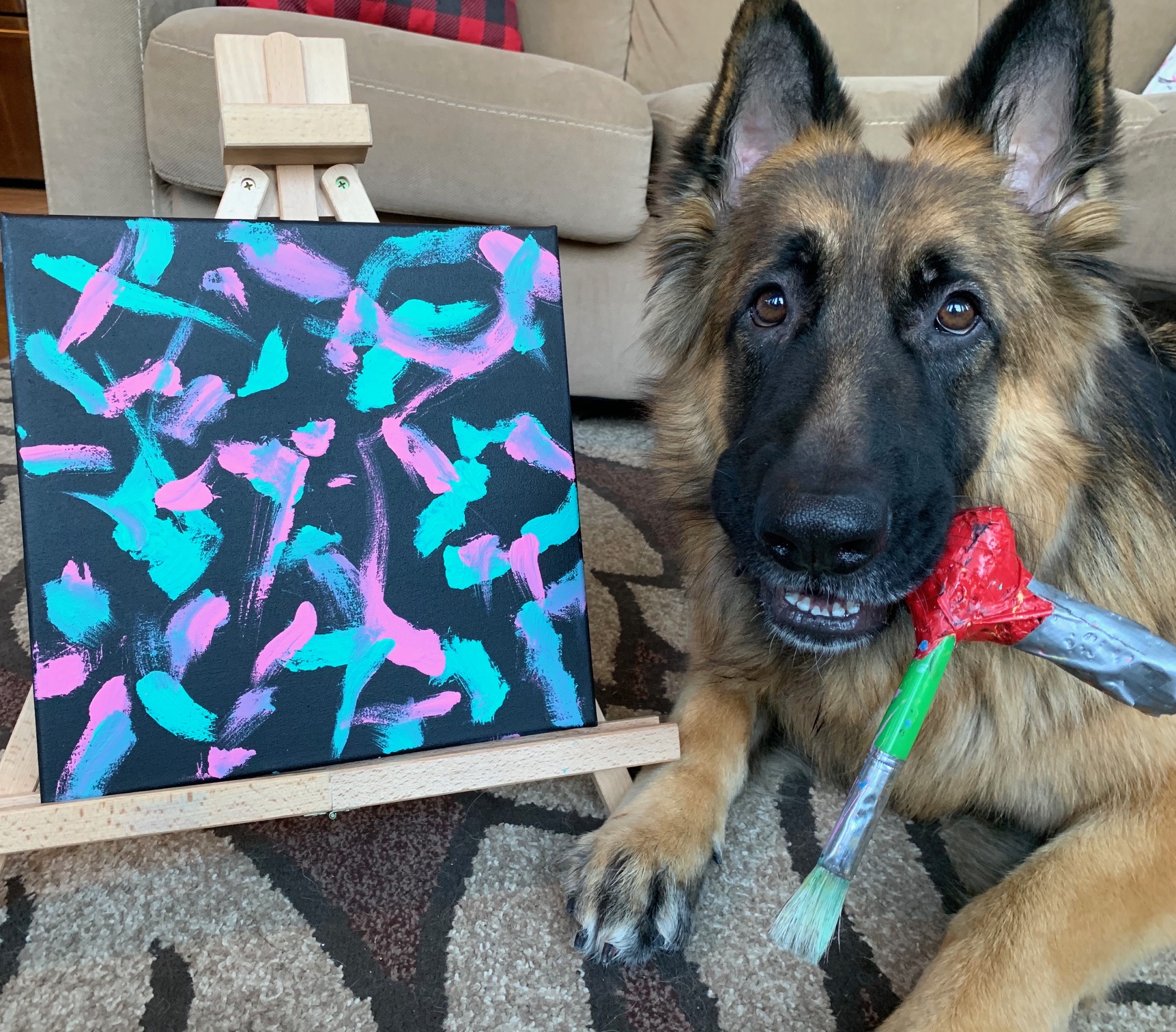 German Shepherd paints for pets with cancer