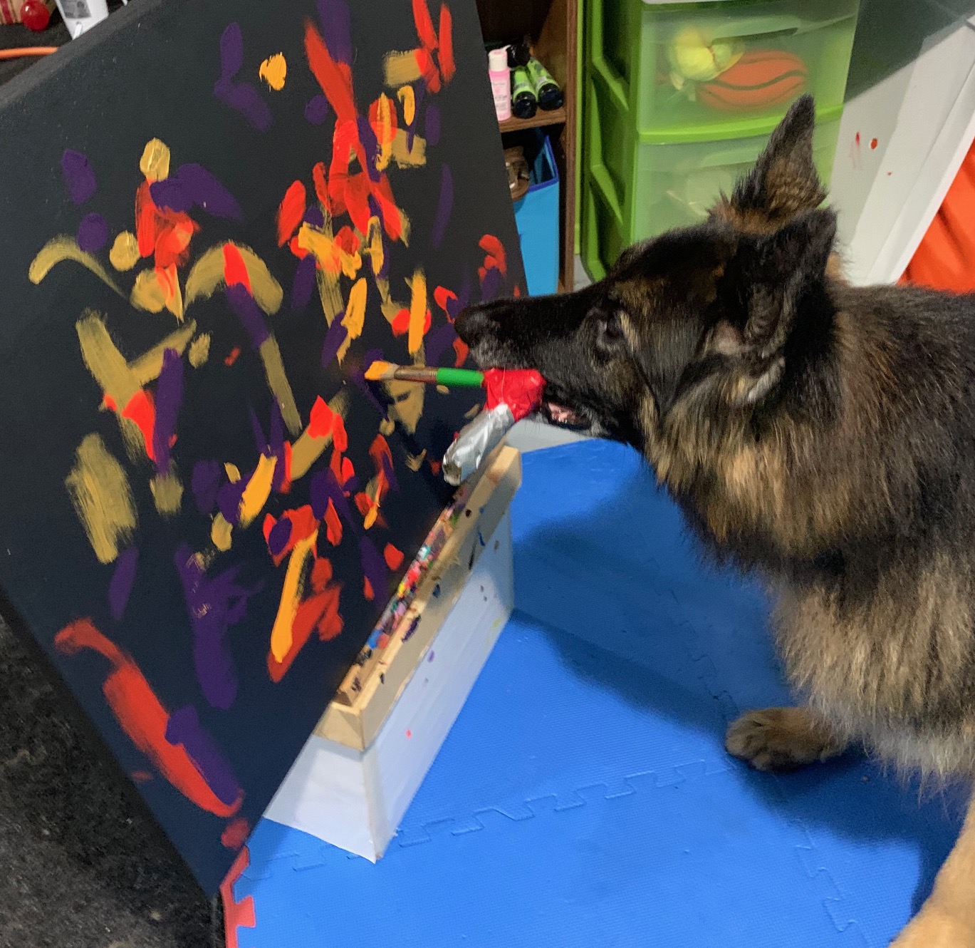 Painting dog helps pets with cancer