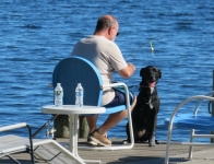 Tripawd Lab Maggie Rigoulot