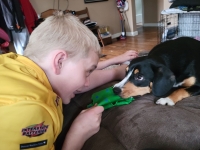 Lady Carpenter from Salt Lake City