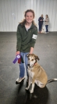 Three legged Tripod competing in Agility