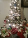 Brownie Xmas Pawty