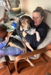 Buddy Three Legs Hound Tripawd