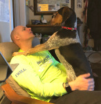 Buddy Three Legs Hound Tripawd