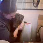 Cheeky Coco Tripawd Chocolate Lab