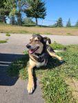 Finnigan after chondrosarcoma amputation