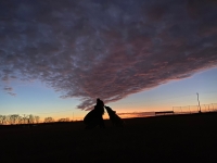 Triday Party for Wrigley