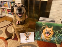 Gracie Celebrates Tripawd Wrigley