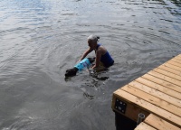 Three-legged dog Jubilee swims