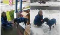 Three-legged dog Jubilee wears matching coat
