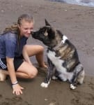 Akita Tripawd