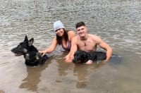 Tripawd Rottie