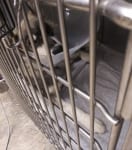 Miskia Rescue Tripawd