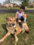 Uran the adoptable tripawd rescue