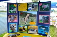 tripawds_pics1
