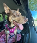 Whiskey Road Trip