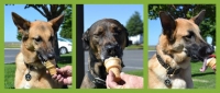 wordless-wednesday_op