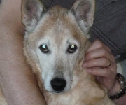 Zeus