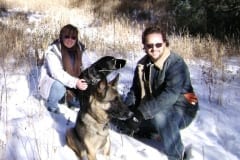 Senior Tripawd German Shepherd Dog
