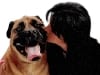 Three Legged Mastiff Titan and Heidi