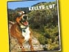 Rock Star Three legged Dog Frankie