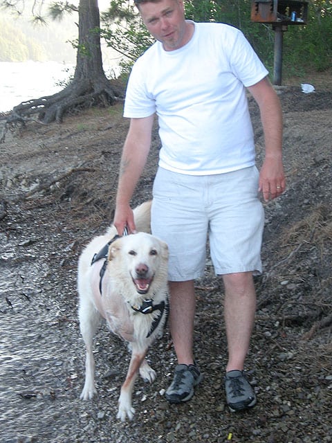 three legged dog dozer wears ruff wear harness