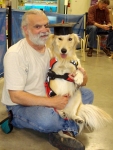 Three-legged Shelby wears harness at graduation