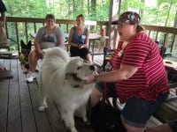 2017 Tripawds Party Richmond Virginia