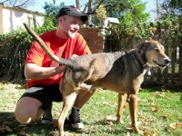 Jim meets three legged rock star dog Frankie