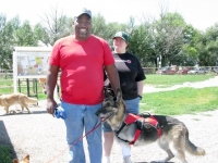 Three Legged German Shepherd Kaneda and His Pack