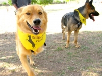 Chuy and Wyatt at Arizona Tripawds Party