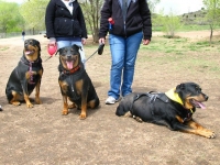 Colorado Springs Tripawds Party