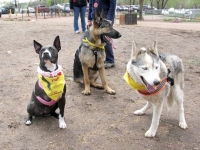 Colorado Springs Tripawds Party