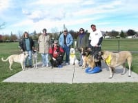 Tripawds Get Together at Livermore Dog Park
