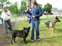 Tripawds Party in Golden, CO May 2012