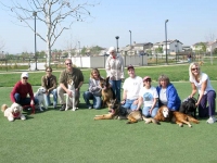 Tripawds Wedding Day