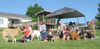 Tripawds at Greyhounds Rock Party